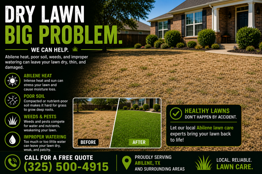 dry brown lawn Abilene TX heat damage grass