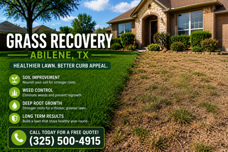 grass recovery Abilene TX