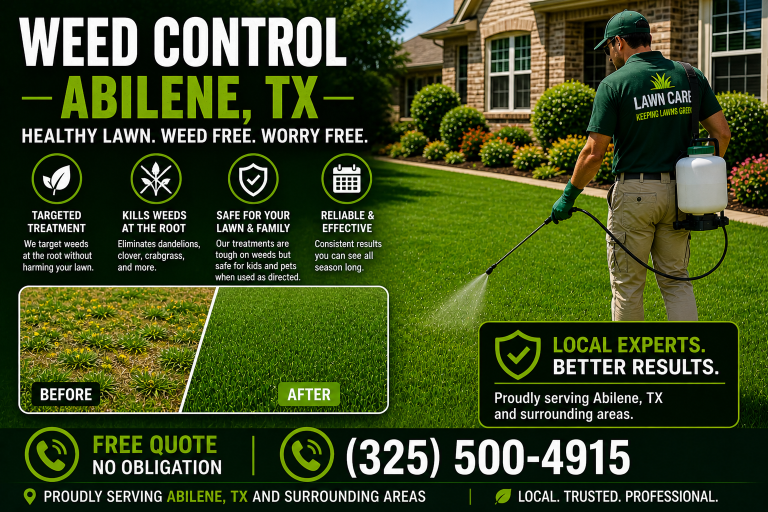 before and after lawn care Abilene TX patchy grass repair
