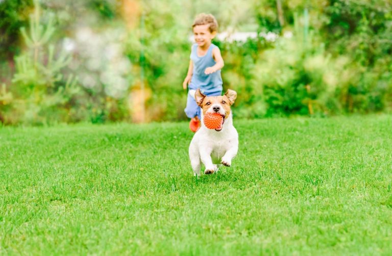 Family enjoying weed free lawn in Abilene TX