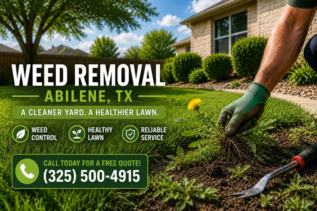 weed removal Abilene TX yard